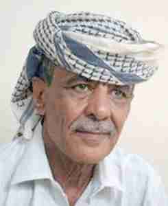العميد السعدي: الجنوب سيقرر مصيره بنفسه وصالح مصيره الهلاك في حال الزحف
