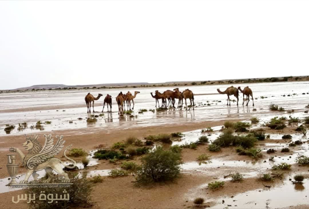 حين تهطل السماء.. ترسم الأمطار لوحة ربانية في حضرموت